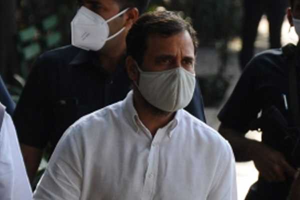 हरियाणा कांग्रेस के नेताओं की राहुल गांधी संग बैठक, संगठन में हो सकता है फेरबदल